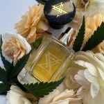 عطر ادکلن مونته کوش اکسترا ویرگو - Monte Kush Extra Virgo - بررسی، قیمت و خرید