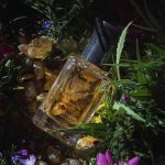 عطر ادکلن مونته کوش اکسترا ویرگو - Monte Kush Extra Virgo - بررسی، قیمت و خرید
