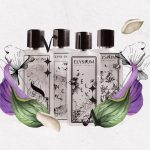 عطر ادکلن فَنسی الیسیوم - Fancy Elysium - بررسی، قیمت و خرید