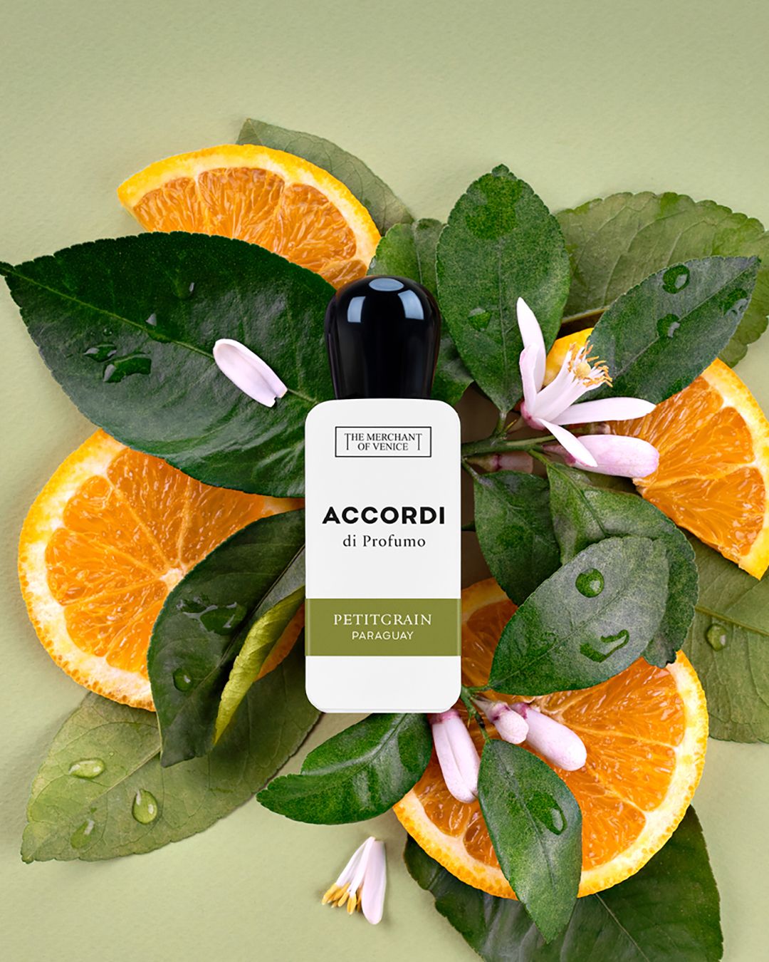 عطر ادکلن پتیت گرین پاراگوئه دِ مِرچِنت آو وِنیس - Petitgrain Paraguay The Merchant of Venice - بررسی، قیمت و خرید