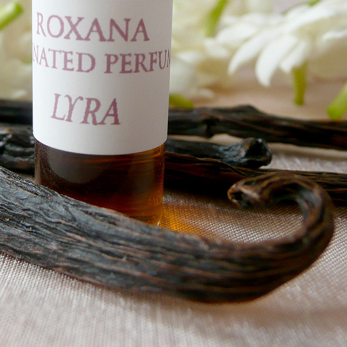 عطر ادکلن لایرا رکسانا ایلومیند پرفیوم - Lyra Roxana Illuminated Perfume - بررسی، قیمت و خرید