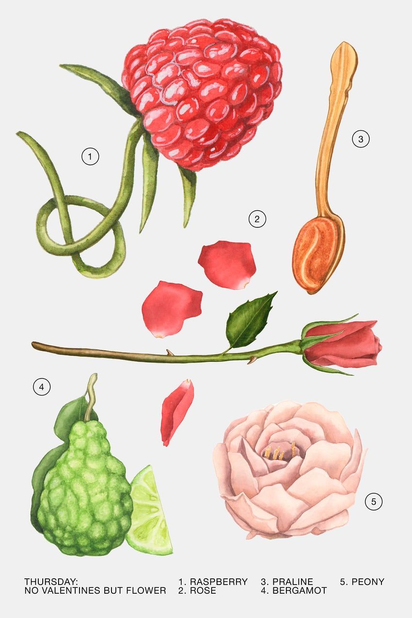 عطر ادکلن ترزدی نو ولنتاینز بات فلاورز زَرا - Thursday - No Valentines But Flowers Zara - بررسی، قیمت و خرید