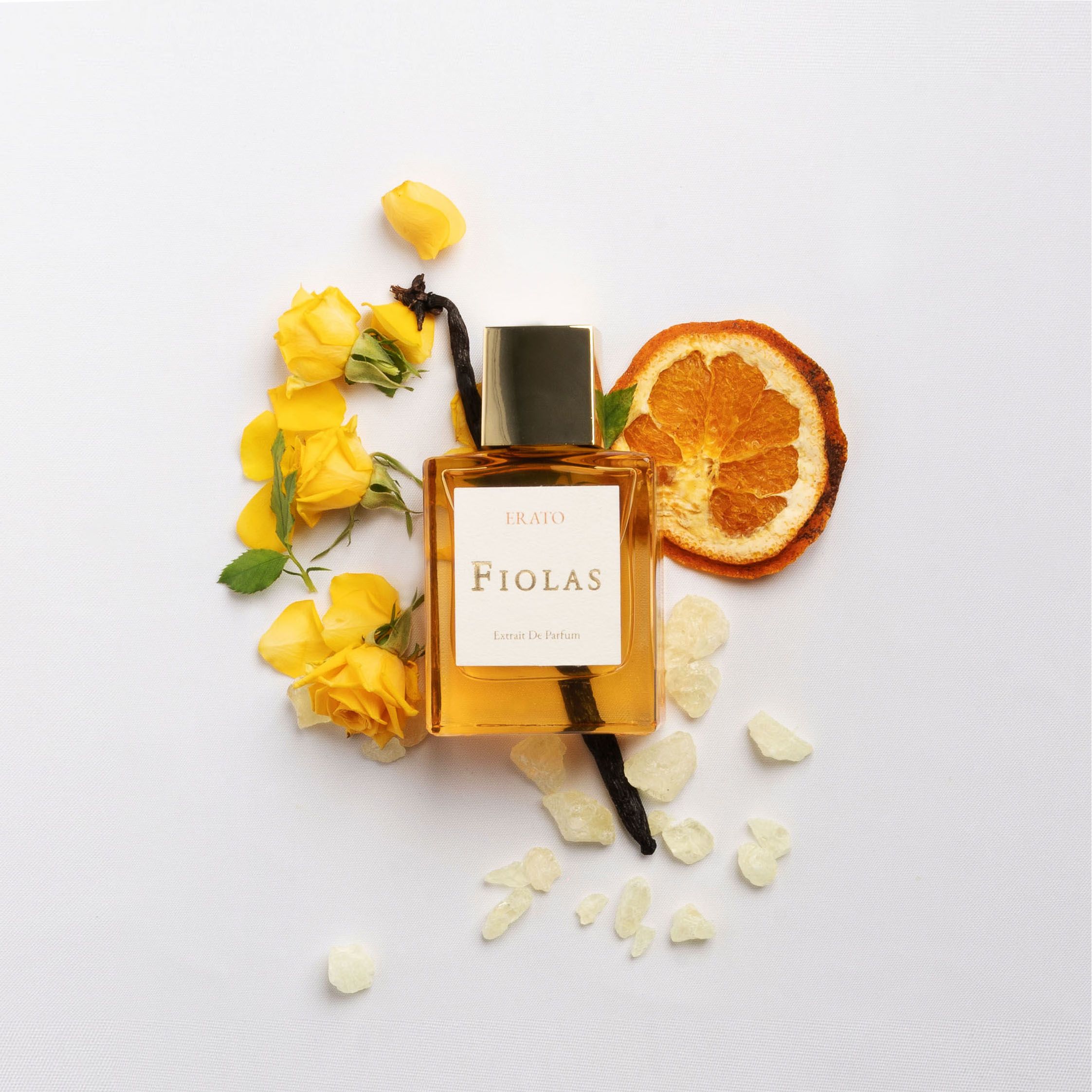 عطر ادکلن اِراتو فیولاس - Erato Fiolas - بررسی، قیمت و خرید