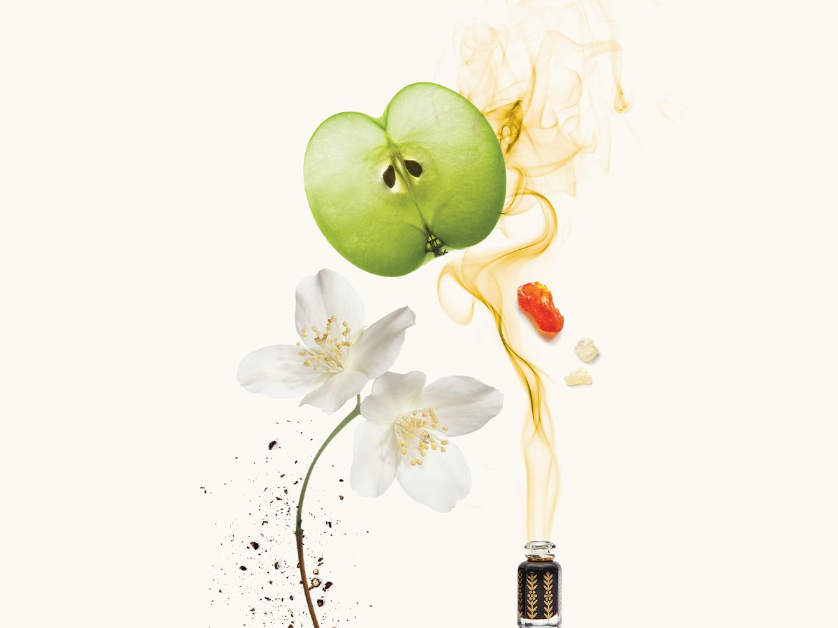 عطر ادکلن الوصل ویدیان - Al Wasl WIDIAN - بررسی، قیمت و خرید