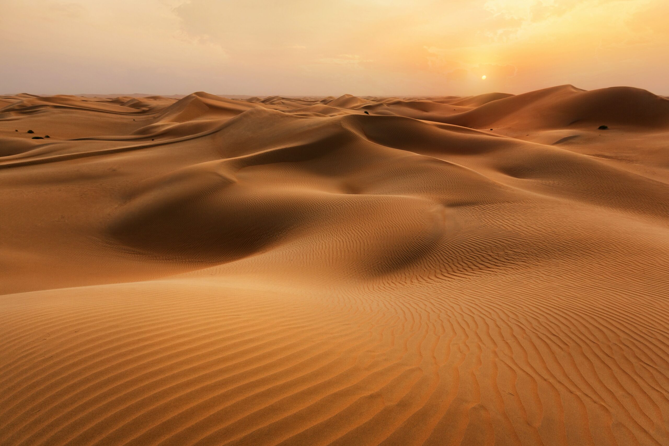 عطر ادکلن صحرا وی‌دیان - Sahara WIDIAN - بررسی، قیمت و خرید