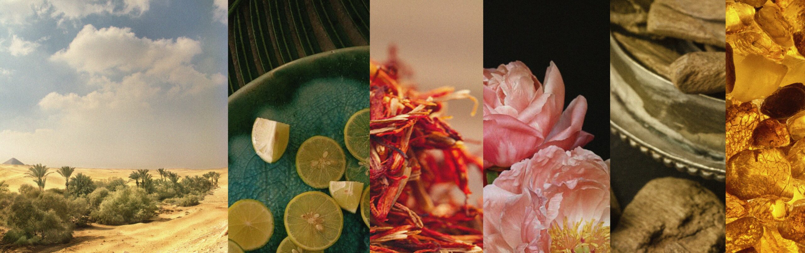 عطر ادکلن صحرا وی‌دیان - Sahara WIDIAN - بررسی، قیمت و خرید