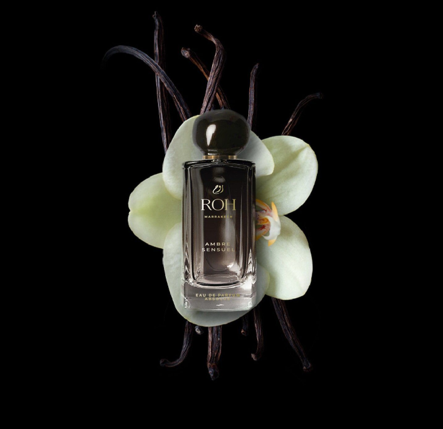 عطر ادکلن آمبر سنسول رو پرفیومز - Ambre Sensuel Roh Parfums - بررسی، قیمت و خرید