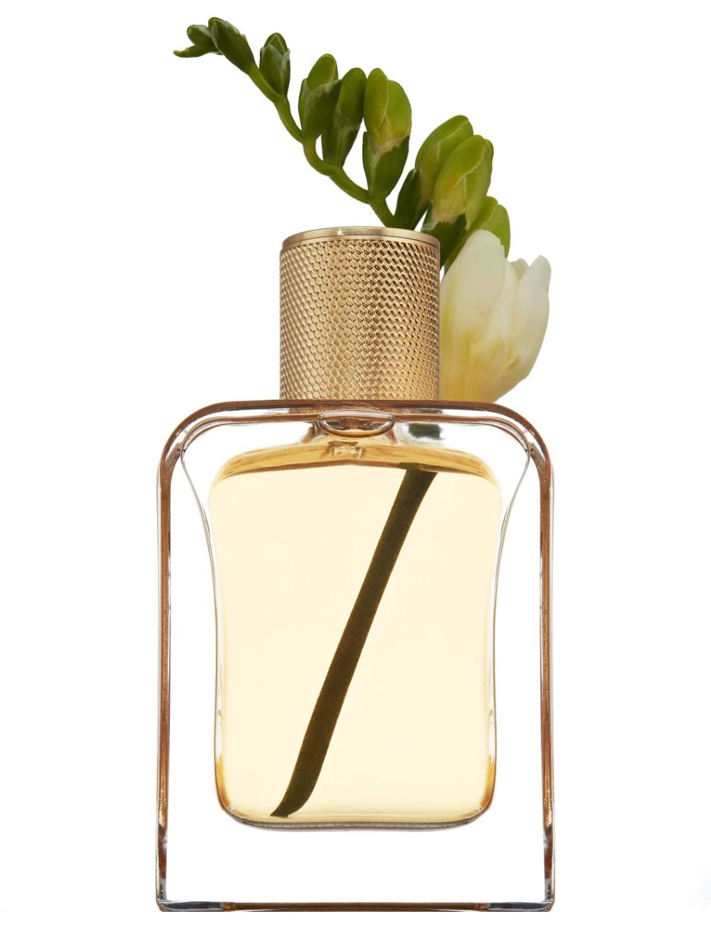 عطر ادکلن رِدی فور رزِ ورونیک گبای - Ready For Rosé Veronique Gabai - بررسی، قیمت و خرید