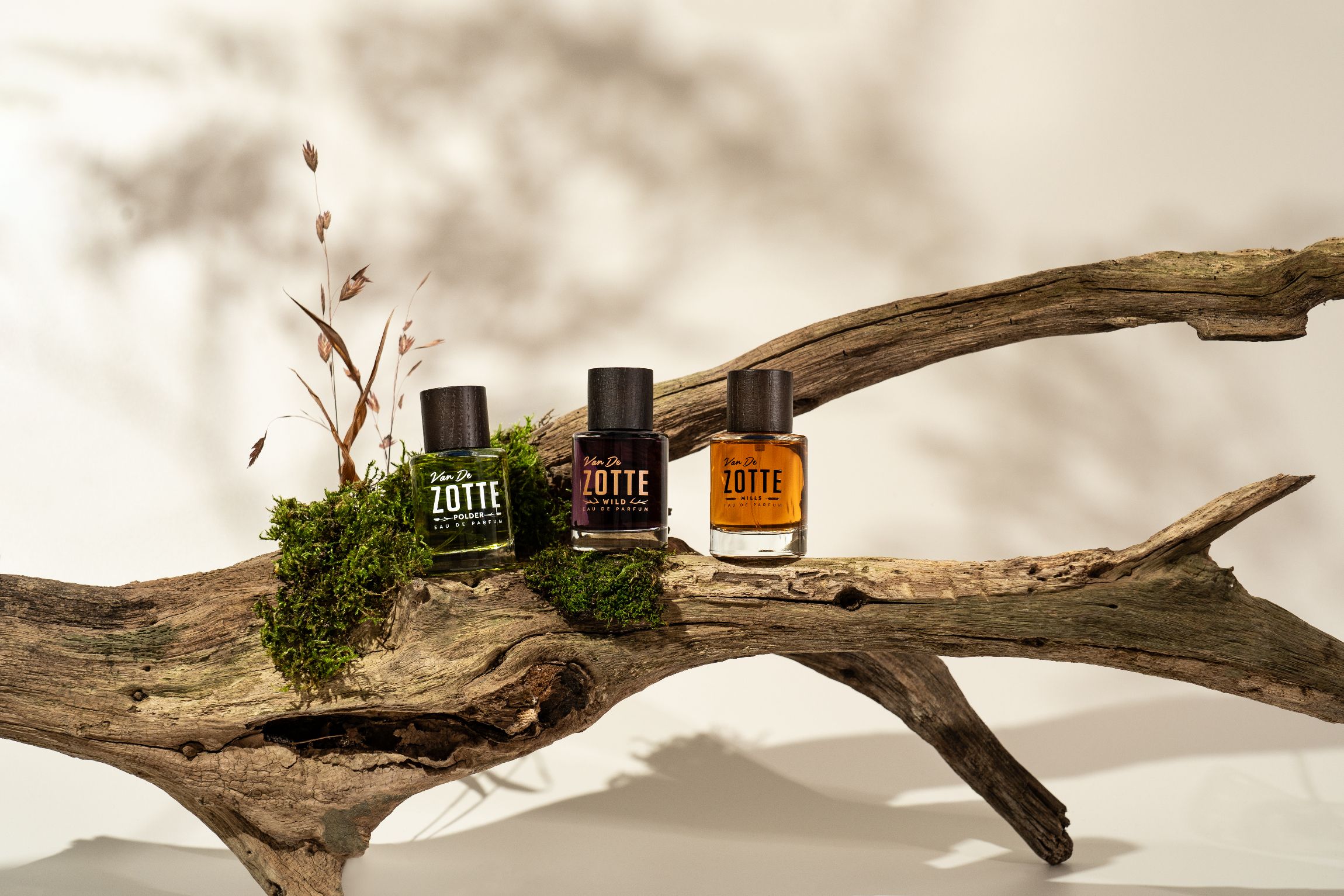 عطر ادکلن وایلد ون د زوته - Wild Van De Zotte - بررسی، قیمت و خرید