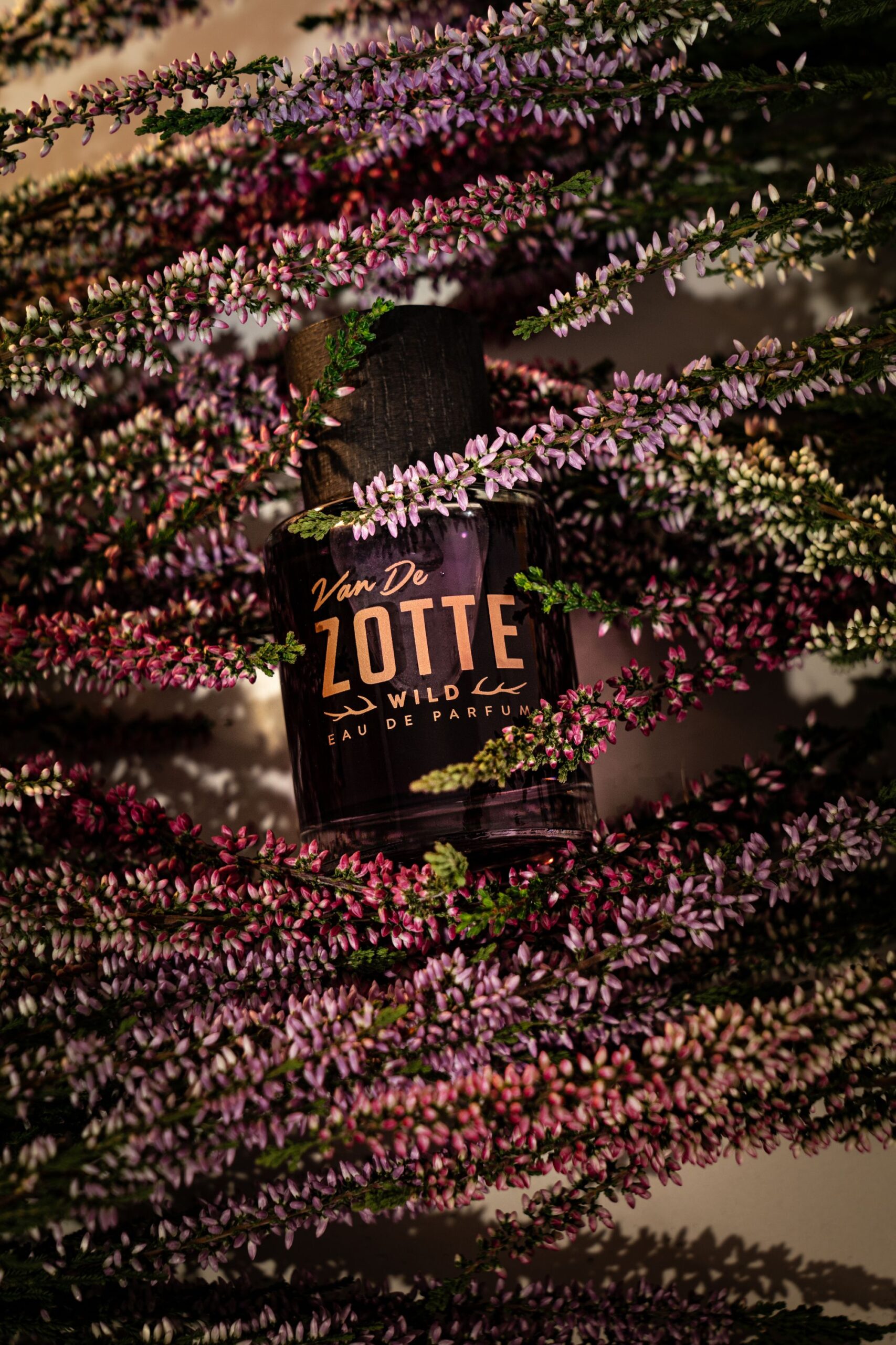 عطر ادکلن وایلد ون د زوته - Wild Van De Zotte - بررسی، قیمت و خرید