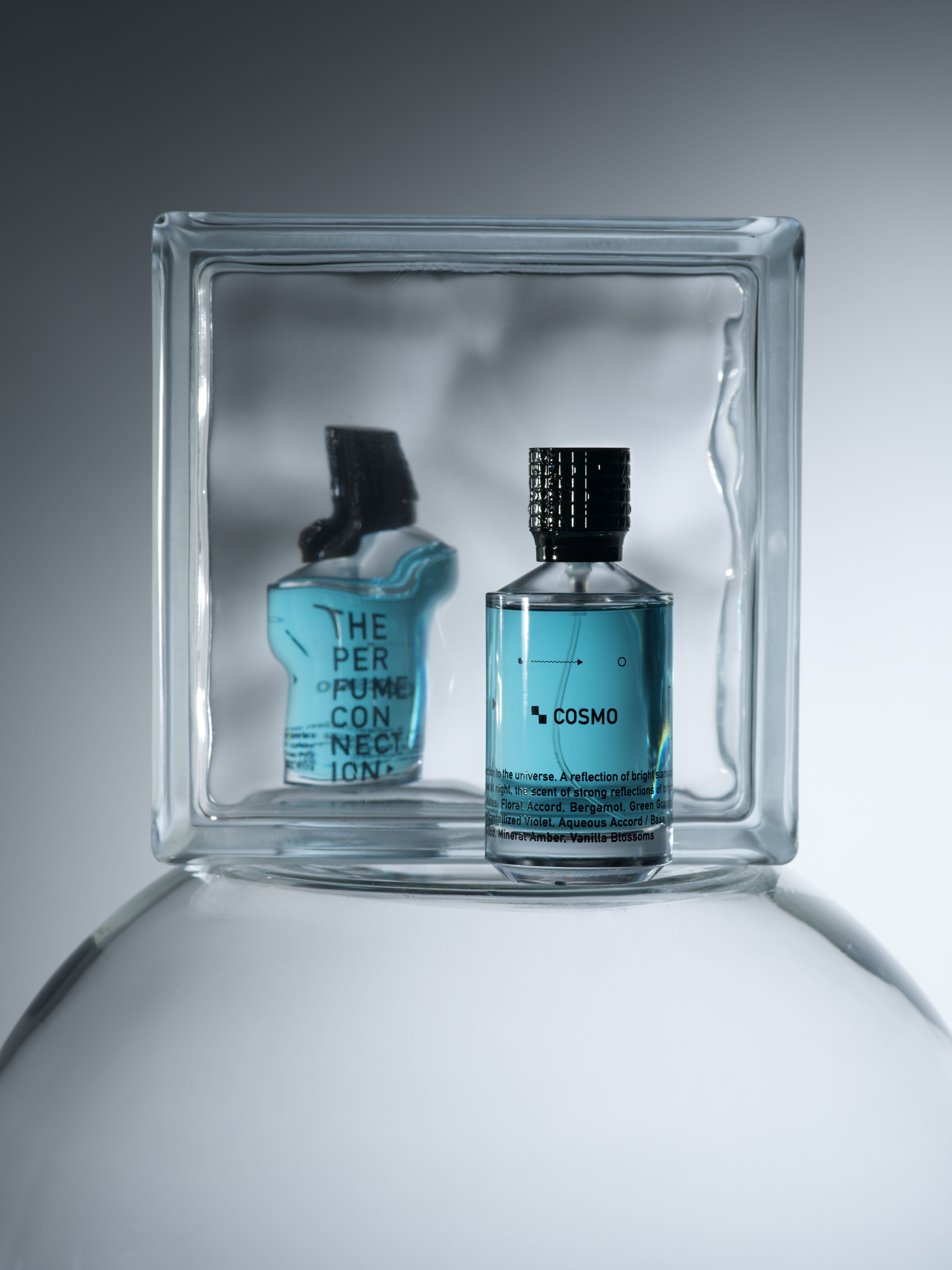 عطر ادکلن کازمو د پرفیوم کانکشن - Cosmo The Perfume Connection - بررسی، قیمت و خرید