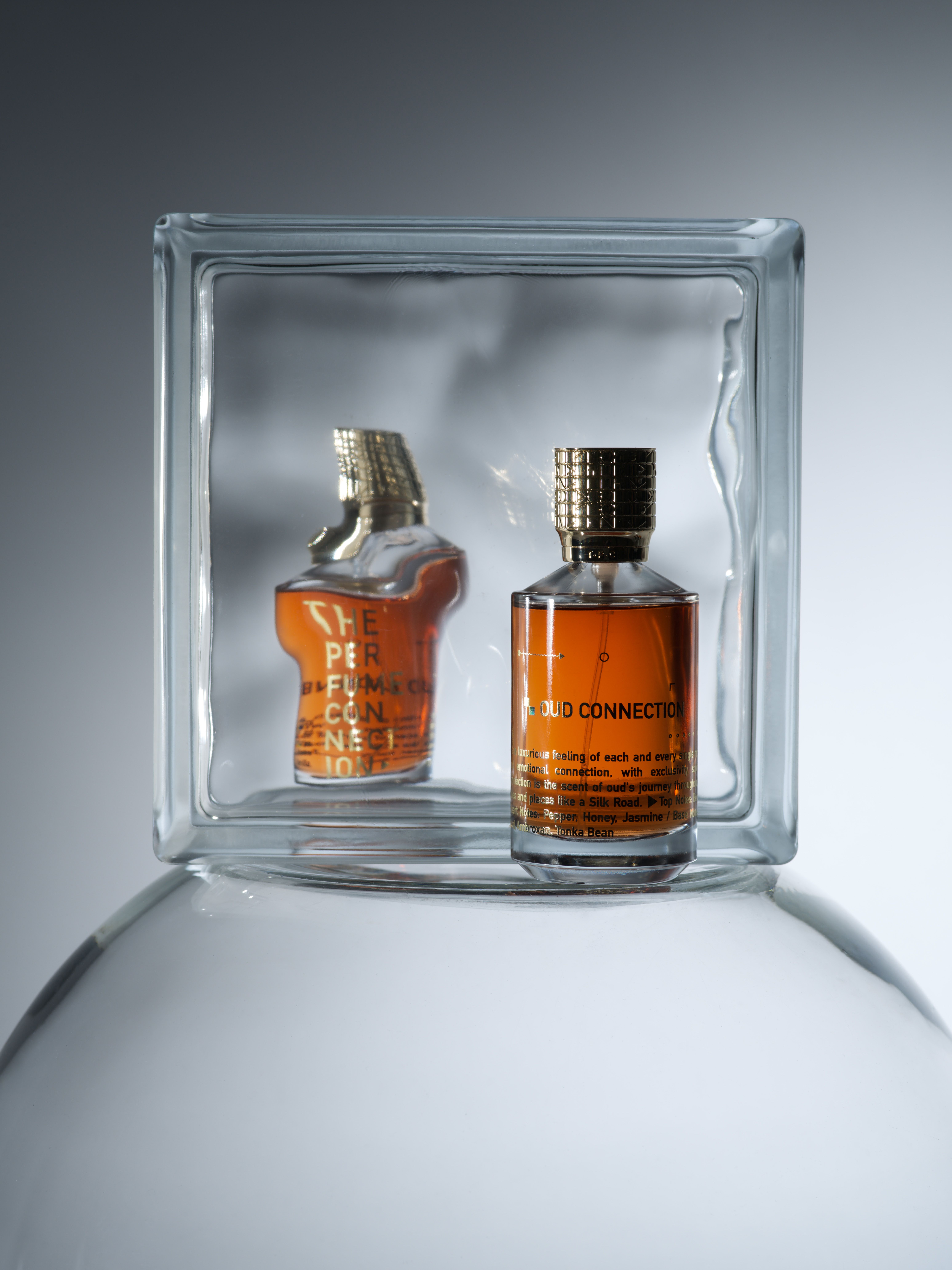 عطر ادکلن اود کانکشن دی پرفیوم کانکشن - Oud Connection The Perfume Connection - بررسی، قیمت و خرید