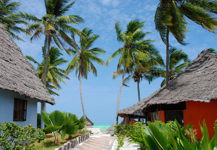 عطر ادکلن زنگبار یاچتسمن - Zanzibar Yachtsman - بررسی، قیمت و خرید