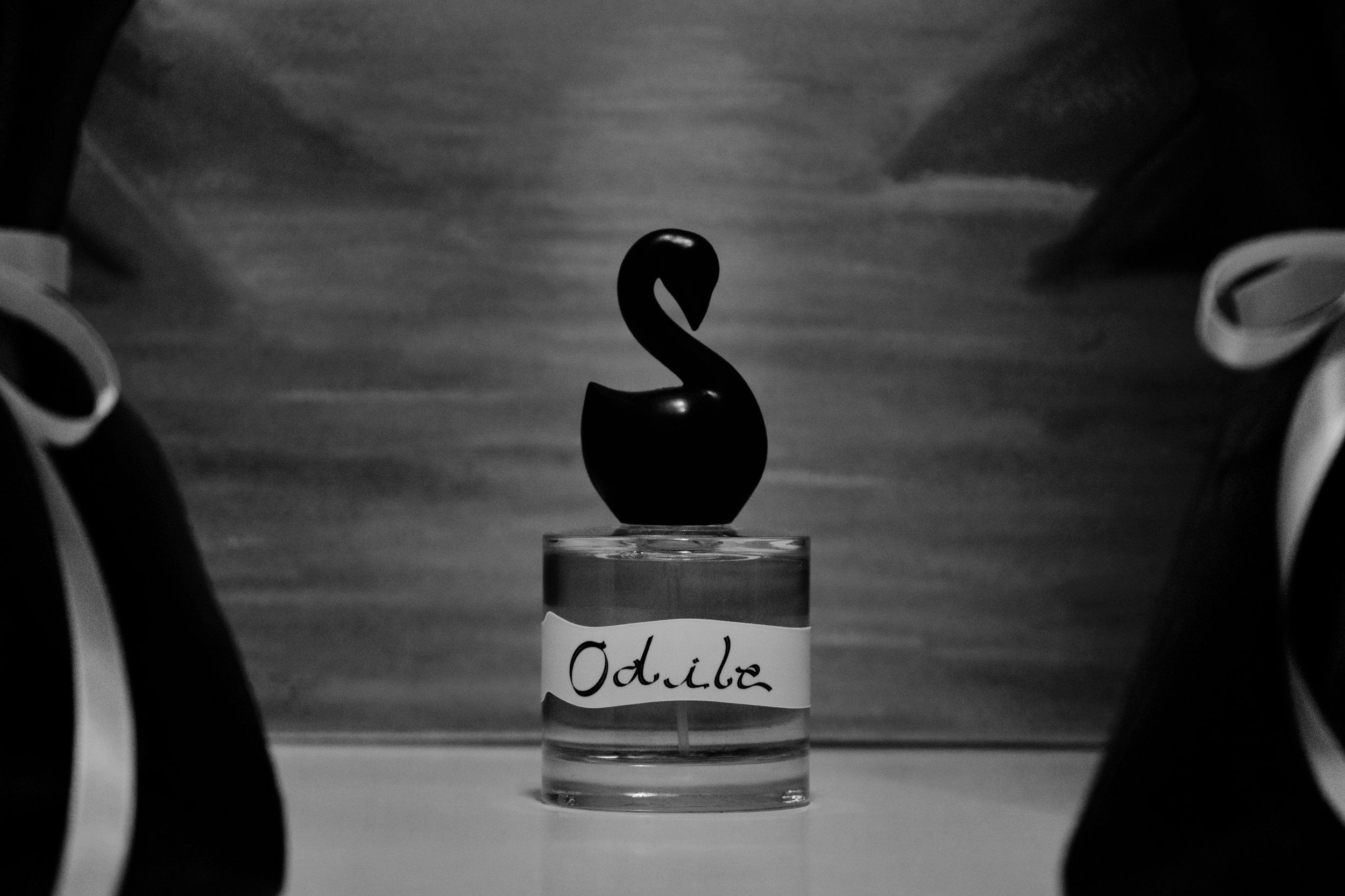 عطر ادکلن اودیل گامینا - Odile Gumamina - بررسی، قیمت و خرید