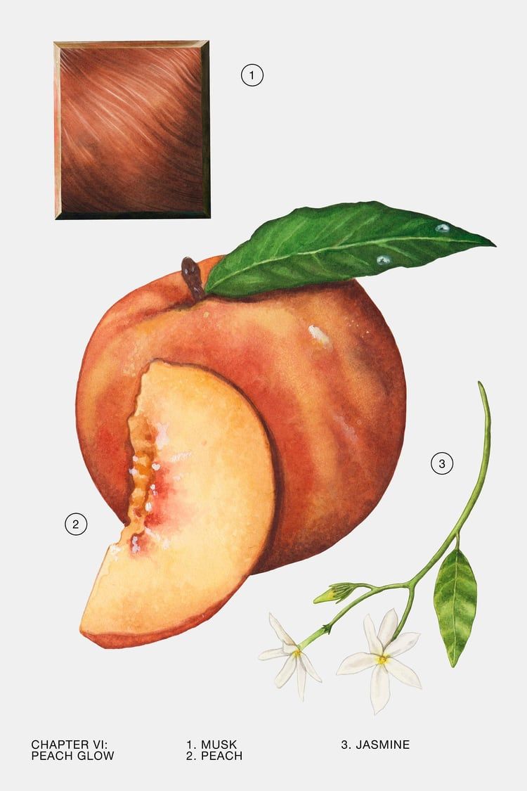 عطر ادکلن پیچ گلو او دو پرفیوم زارا - Peach Glow Eau de Parfum Zara - بررسی، قیمت و خرید