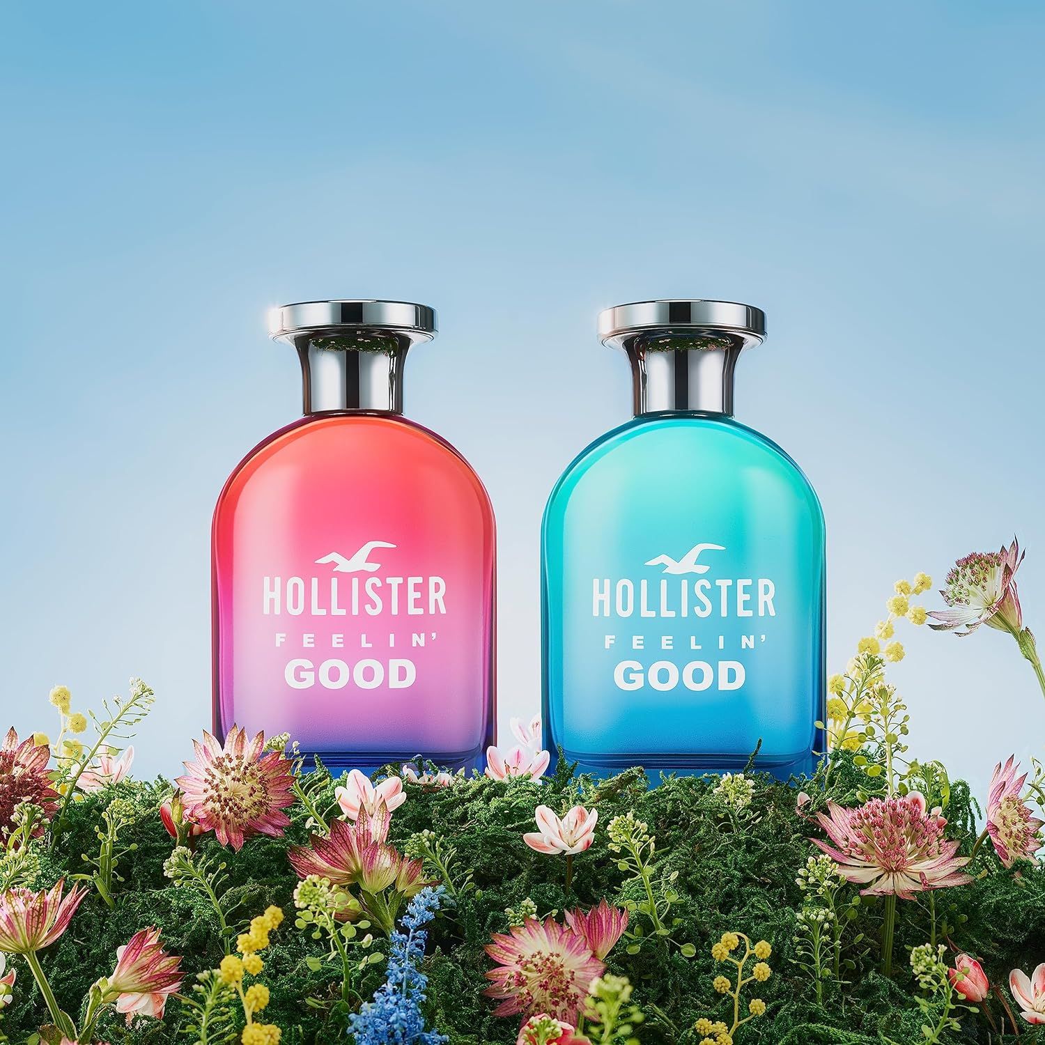 عطر ادکلن فیلین گود فور هیم هالیستر - Feelin' Good For Him Hollister - بررسی، قیمت و خرید