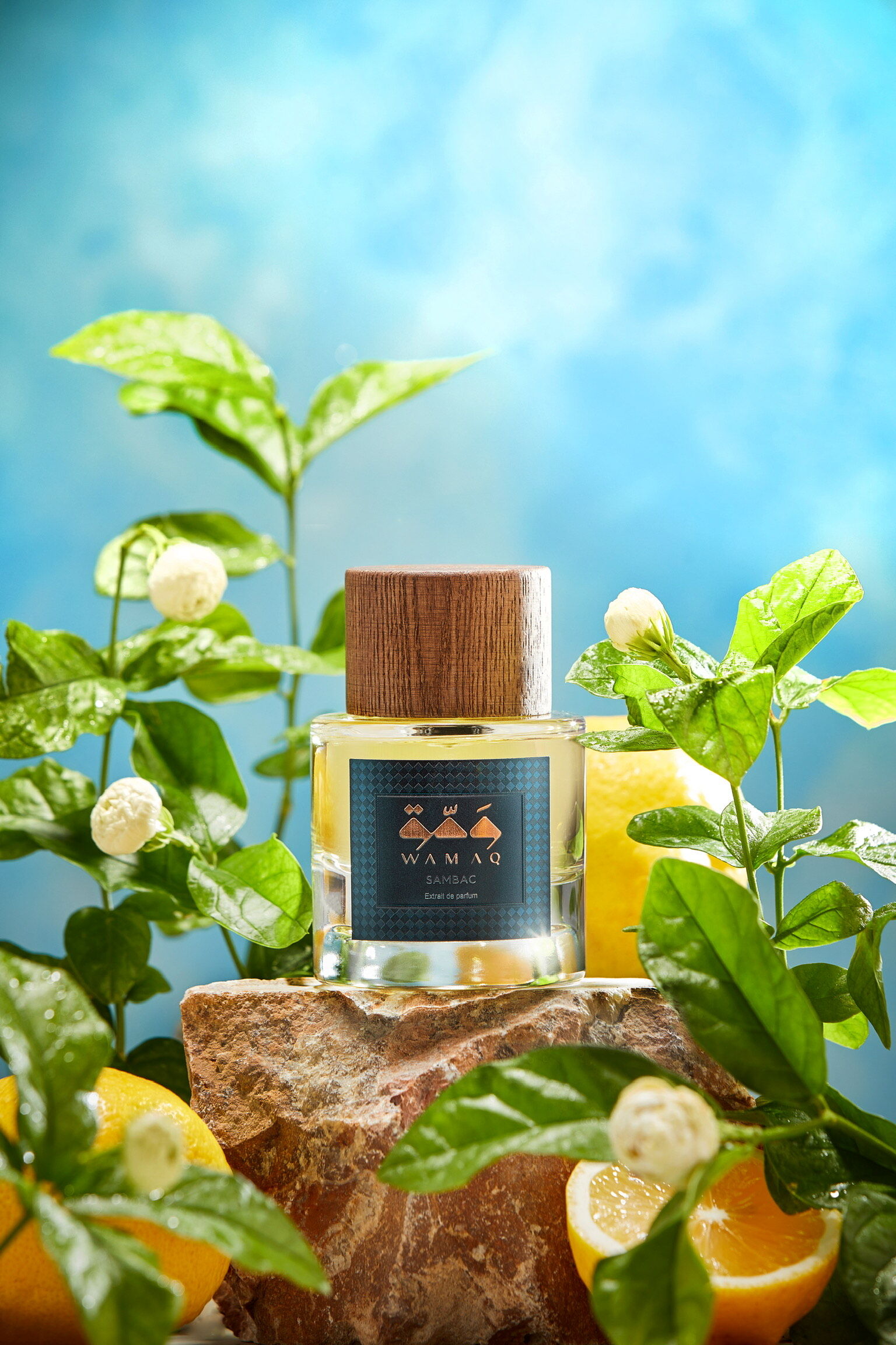 عطر ادکلن سمبک وامَق - Sambac WAMAQ - بررسی، قیمت و خرید