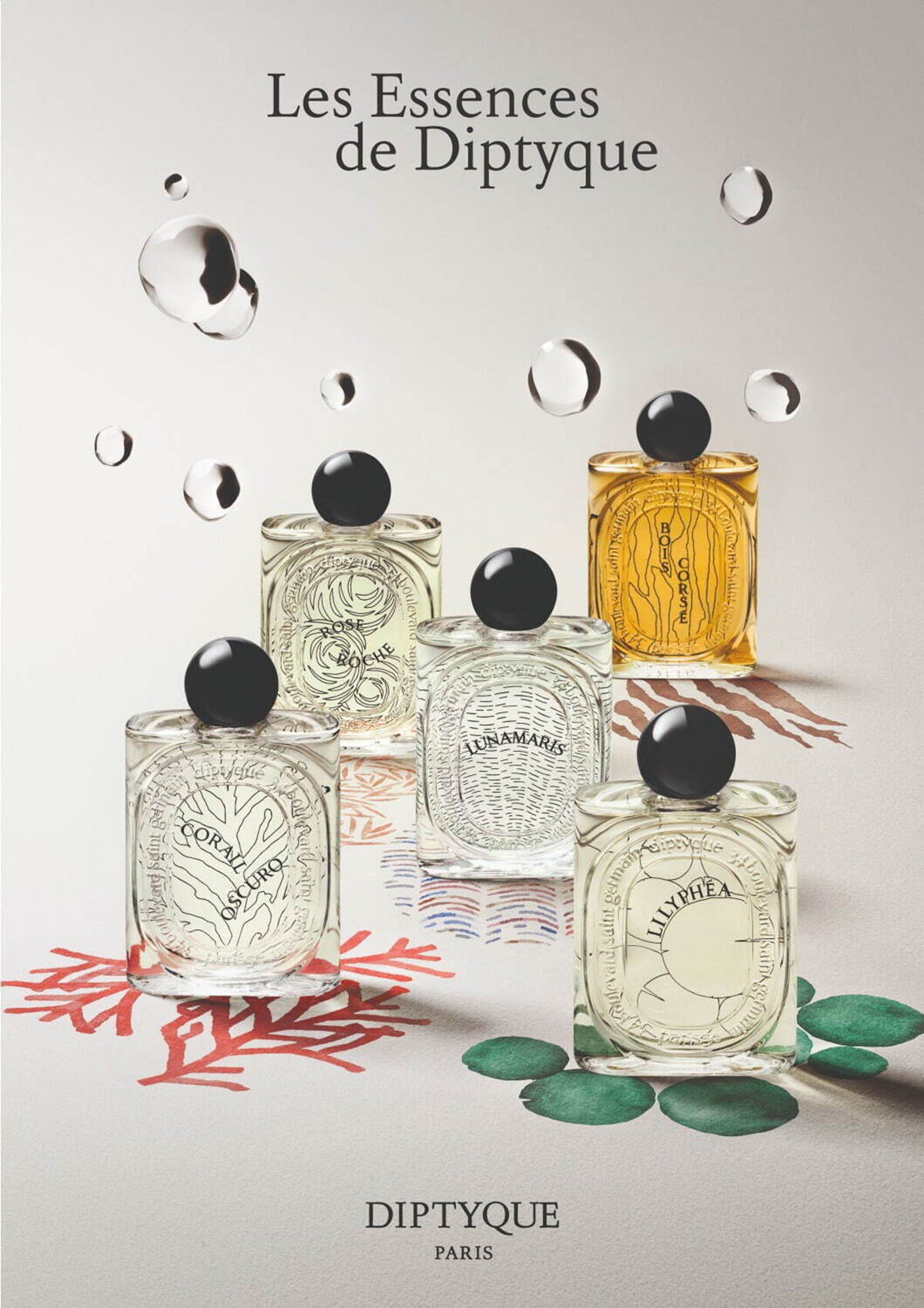 عطر ادکلن بوا کورسه دیپتیک - Bois Corsé Diptyque - بررسی، قیمت و خرید