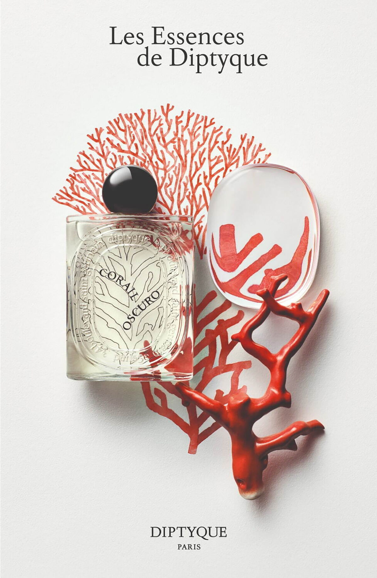 عطر ادکلن کورال اوکسورو دیپتیک - Corail Oscuro Diptyque - بررسی، قیمت و خرید