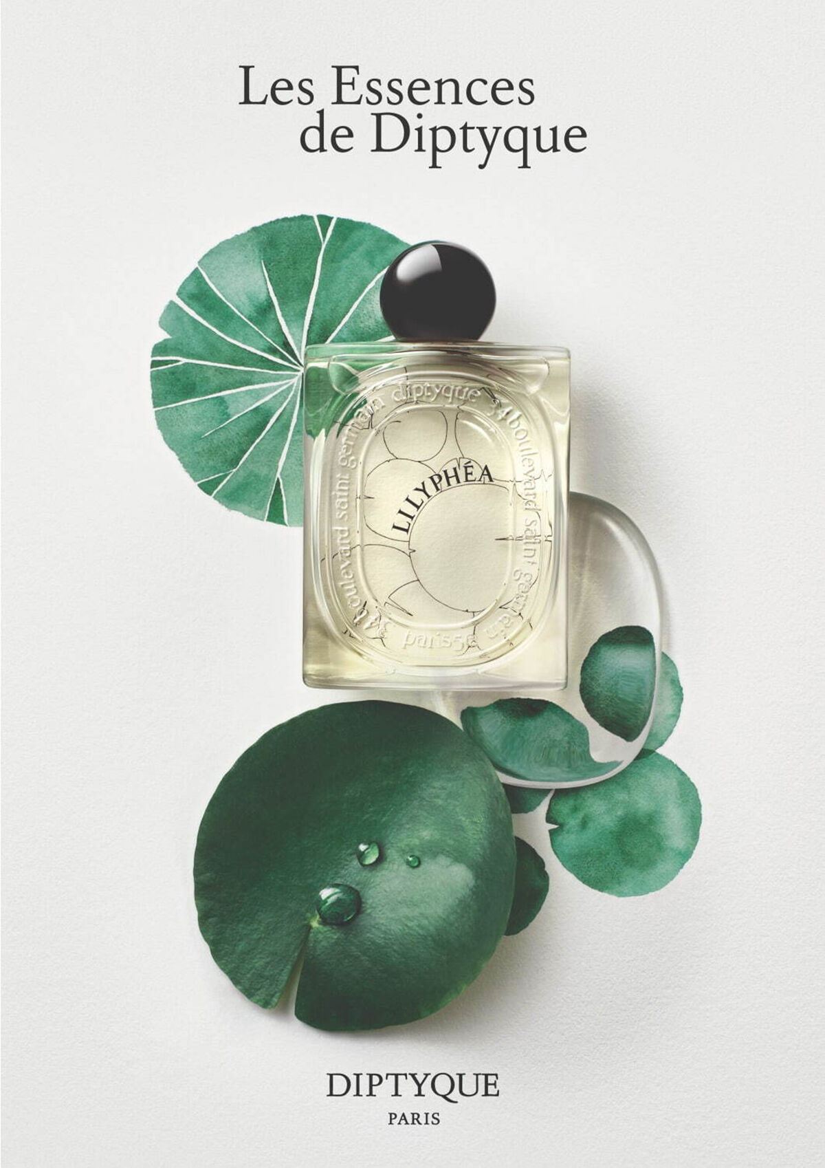 عطر ادکلن لیلیفیا دیپتیک - Lilyphéa Diptyque - بررسی، قیمت و خرید