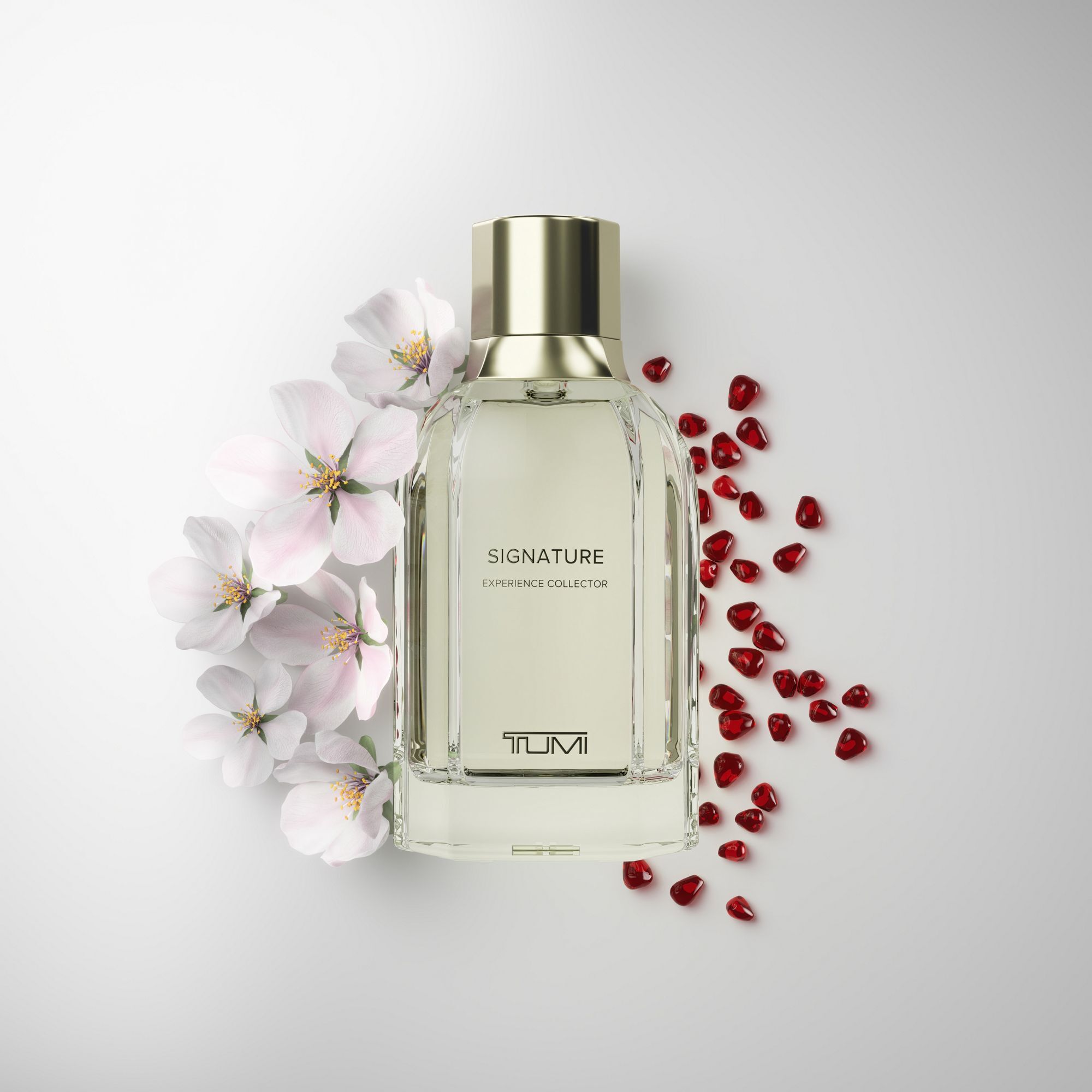 عطر ادکلن ساینچر تومی - Signature TUMI - بررسی، قیمت و خرید