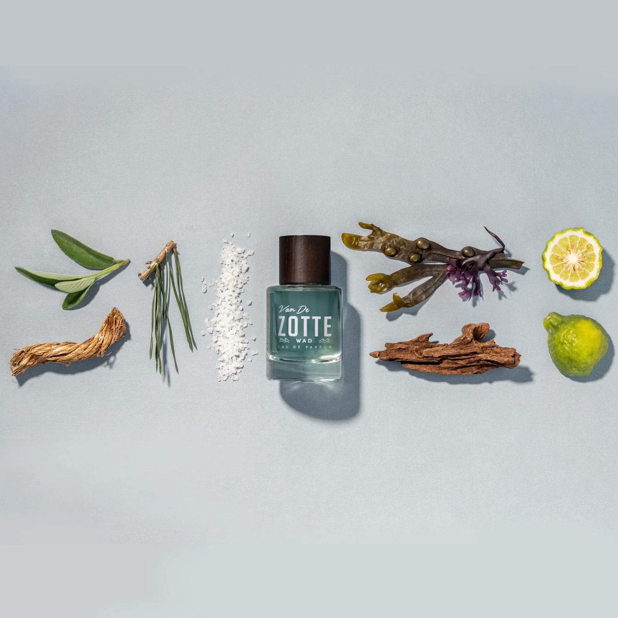 عطر ادکلن واد وان دی زوته - Wad Van De Zotte - بررسی، قیمت و خرید