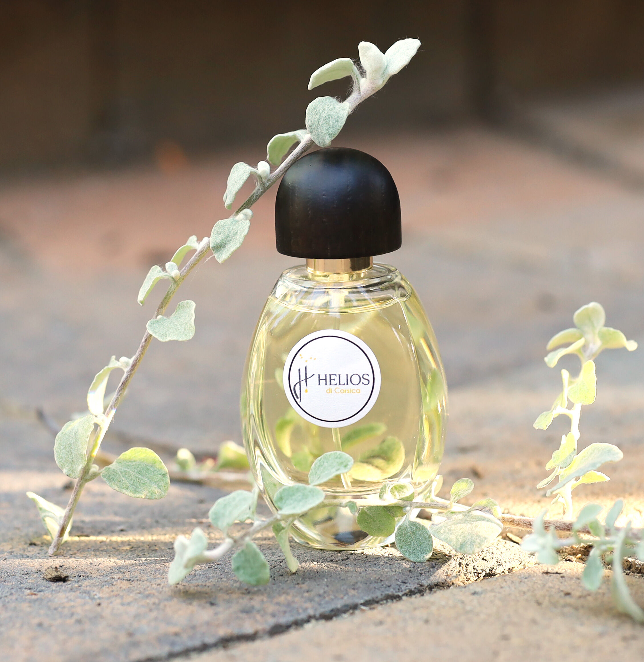 عطر ادکلن هلیوس دی کورسیکا هلیوس دی کورسیکا - Helios di Corsica Helios di Corsica - بررسی، قیمت و خرید