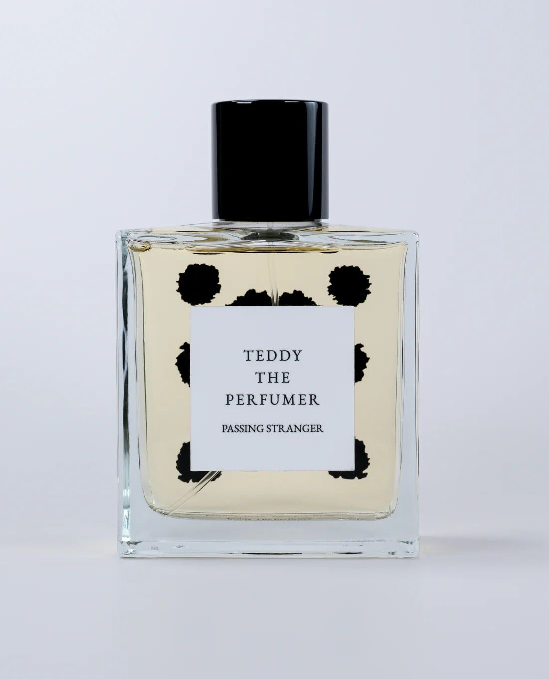 عطر ادکلن پاسینگ استرنجر تدی د پرفیومر - Passing Stranger Teddy The Perfumer - بررسی، قیمت و خرید