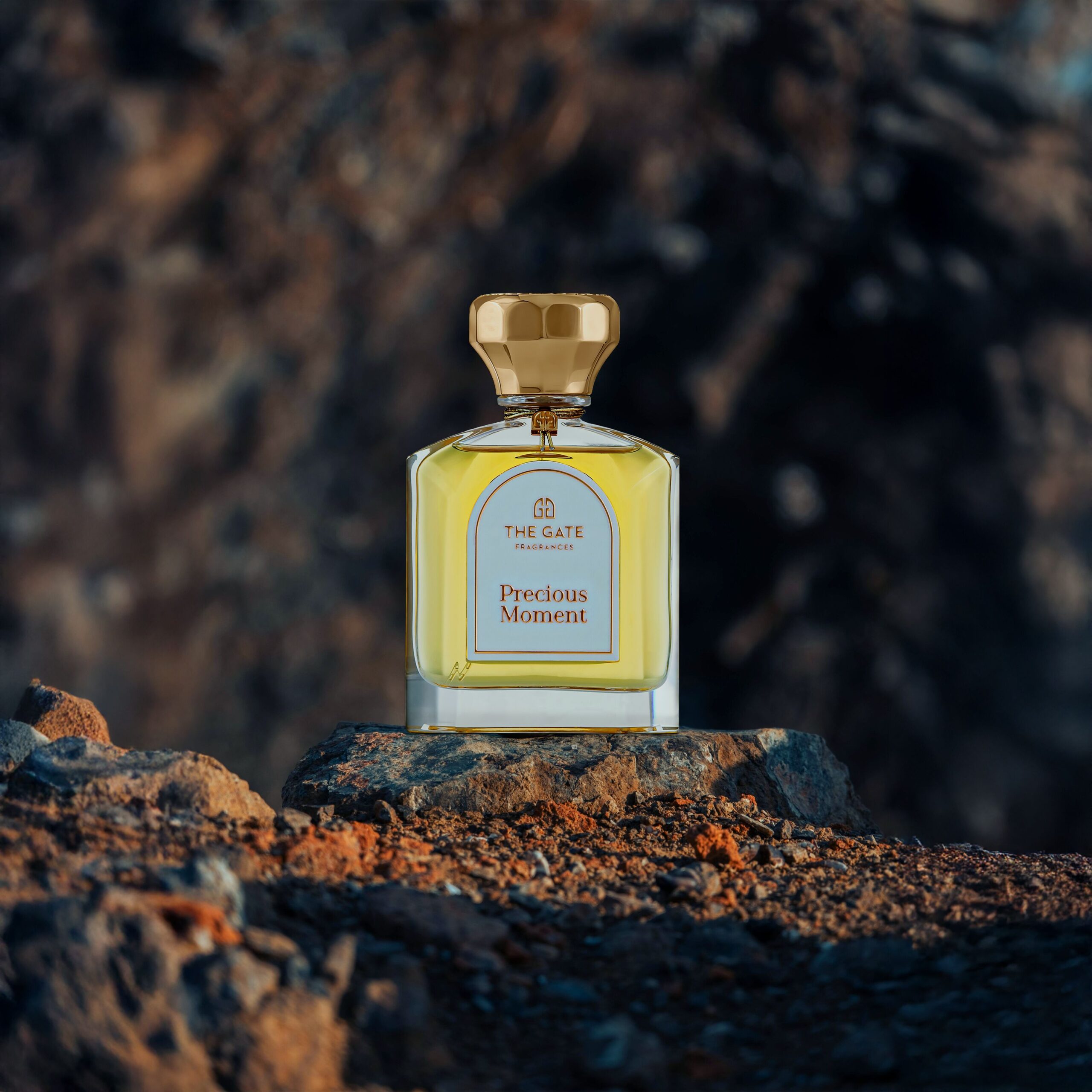 عطر ادکلن پرشس مومنت اکستره دو پارفوم د گیت فراگرنسز پاریس - Precious Moment Extrait de Parfum The Gate Fragrances Paris - بررسی، قیمت و خرید