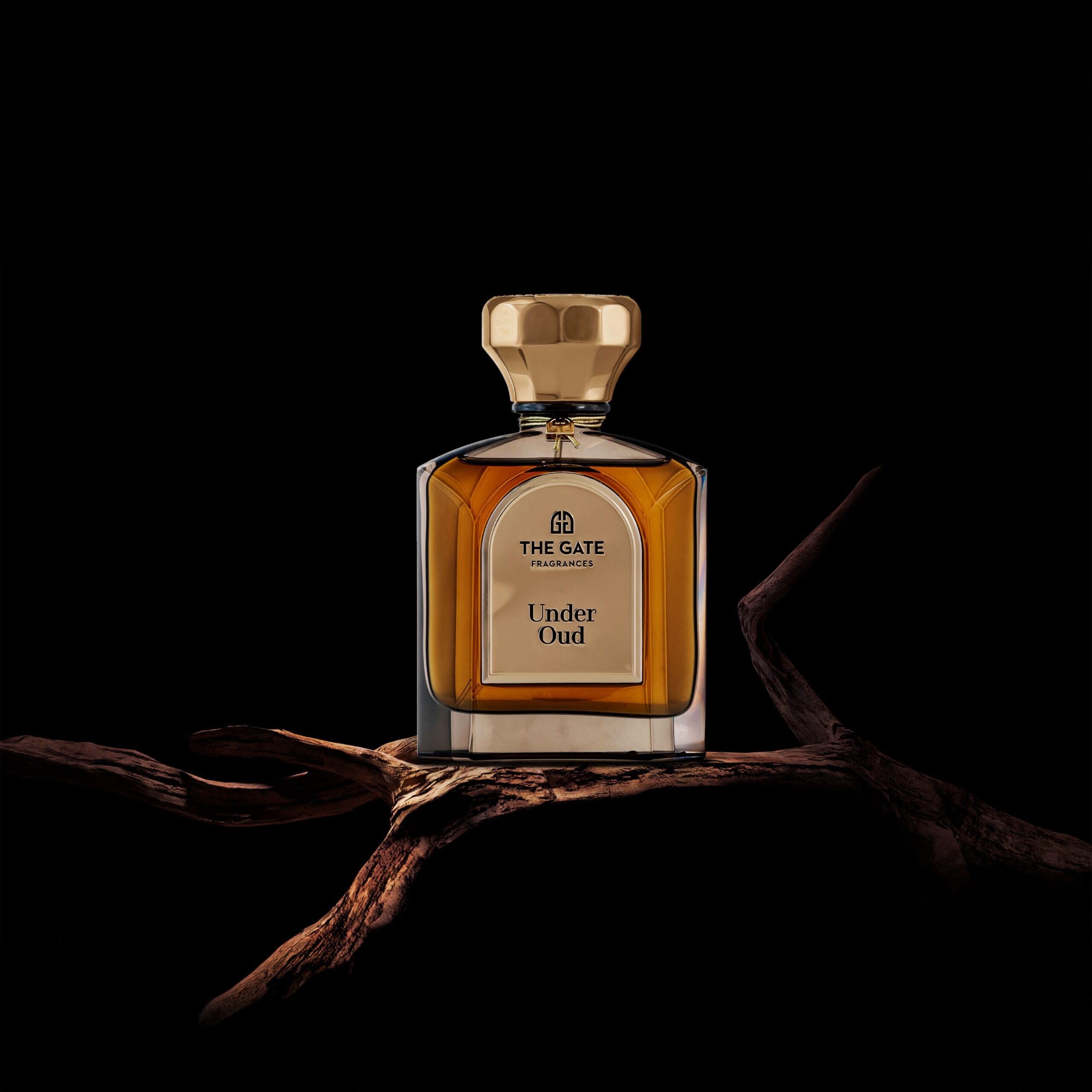 عطر ادکلن آندر عود اکستریت د پرفیوم ذ گیت فراگرنسس پاریس - Under Oud Extrait de Parfum The Gate Fragrances Paris - بررسی، قیمت و خرید