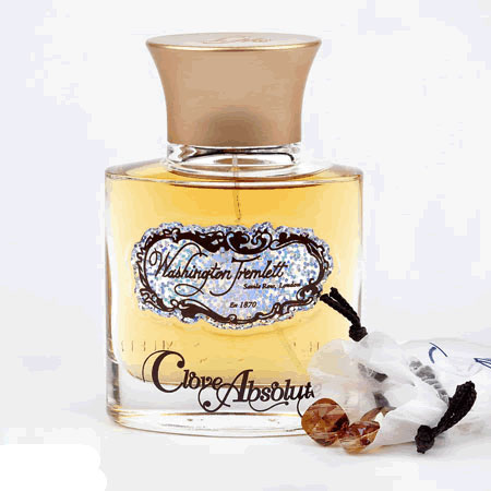 عطر ادکلن کلاو ابسولوت واشنگتن ترملت - Clove Absolute Washington Tremlett - بررسی، قیمت و خرید