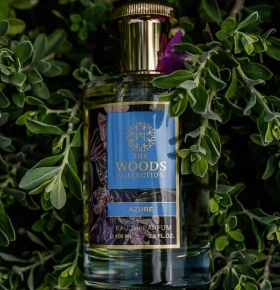 عطر ادکلن اژور د وودز کالکشن - Azure The Woods Collection - بررسی، قیمت و خرید