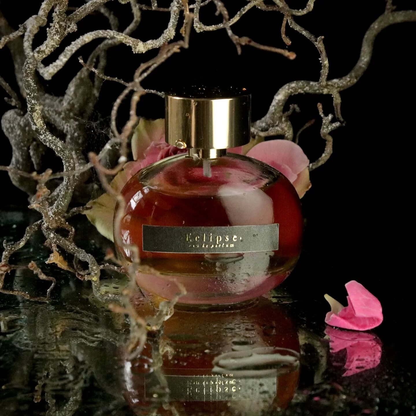 عطر ادکلن اِکلیپس ارمتیک فراگرنز - Eclipse Ermetiche Fragranze - بررسی، قیمت و خرید