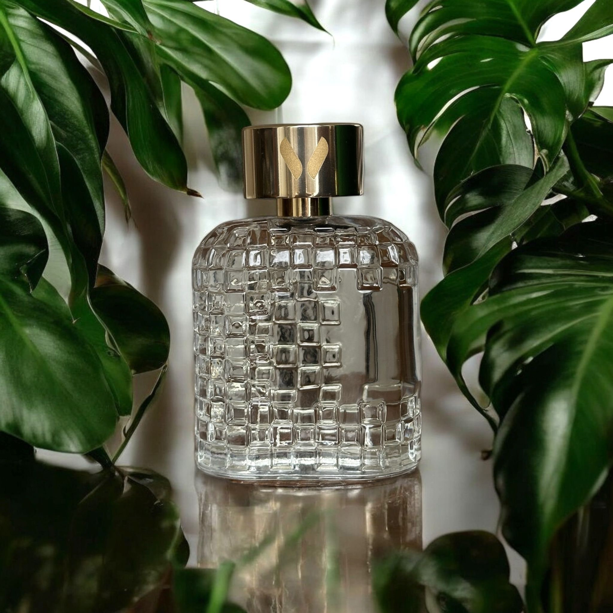 عطر ادکلن ولانجارا وولانجارا فراگرنسس - Volanjara Volanjara Fragrances - بررسی، قیمت و خرید