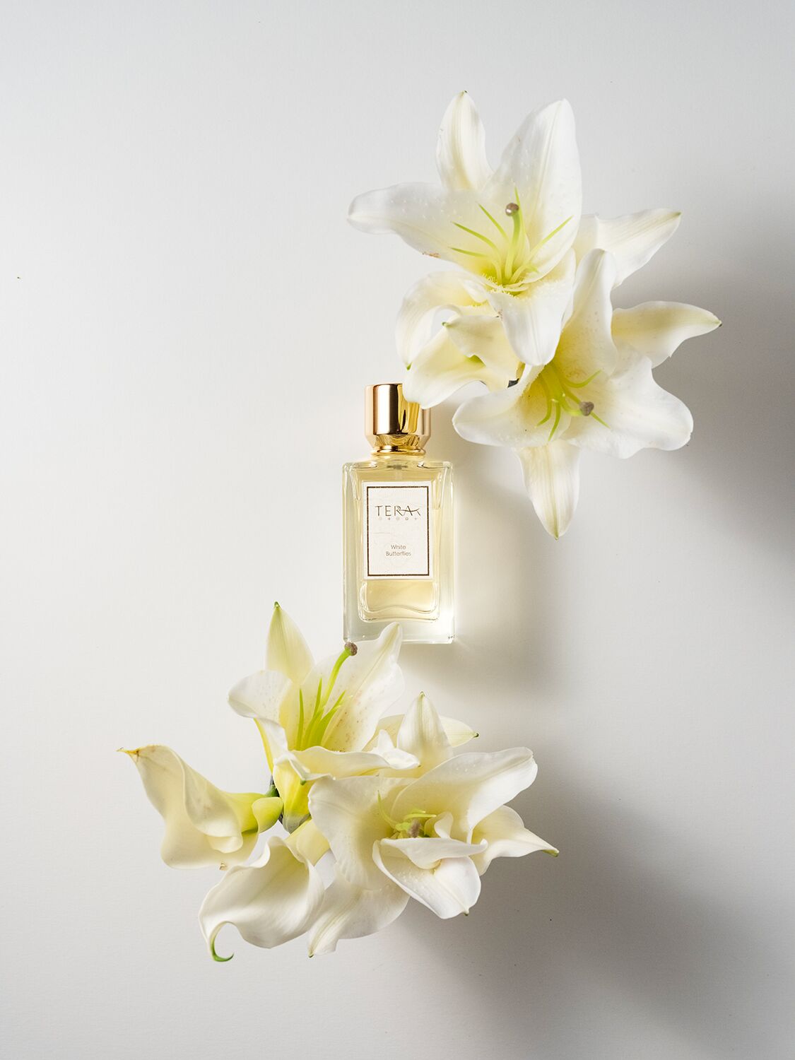 عطر ادکلن وایت باترفلایز ترا تی - White Butterflies Terra T - بررسی، قیمت و خرید