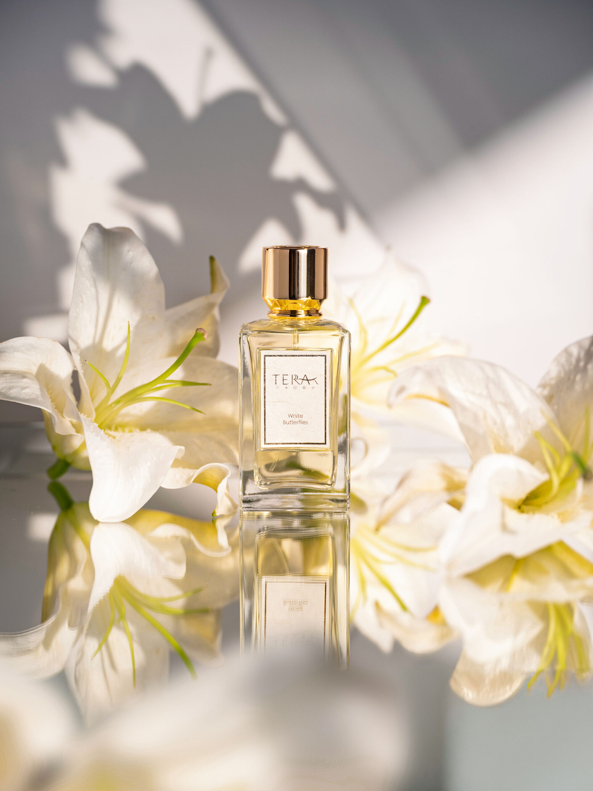 عطر ادکلن وایت باترفلایز ترا تی - White Butterflies Terra T - بررسی، قیمت و خرید