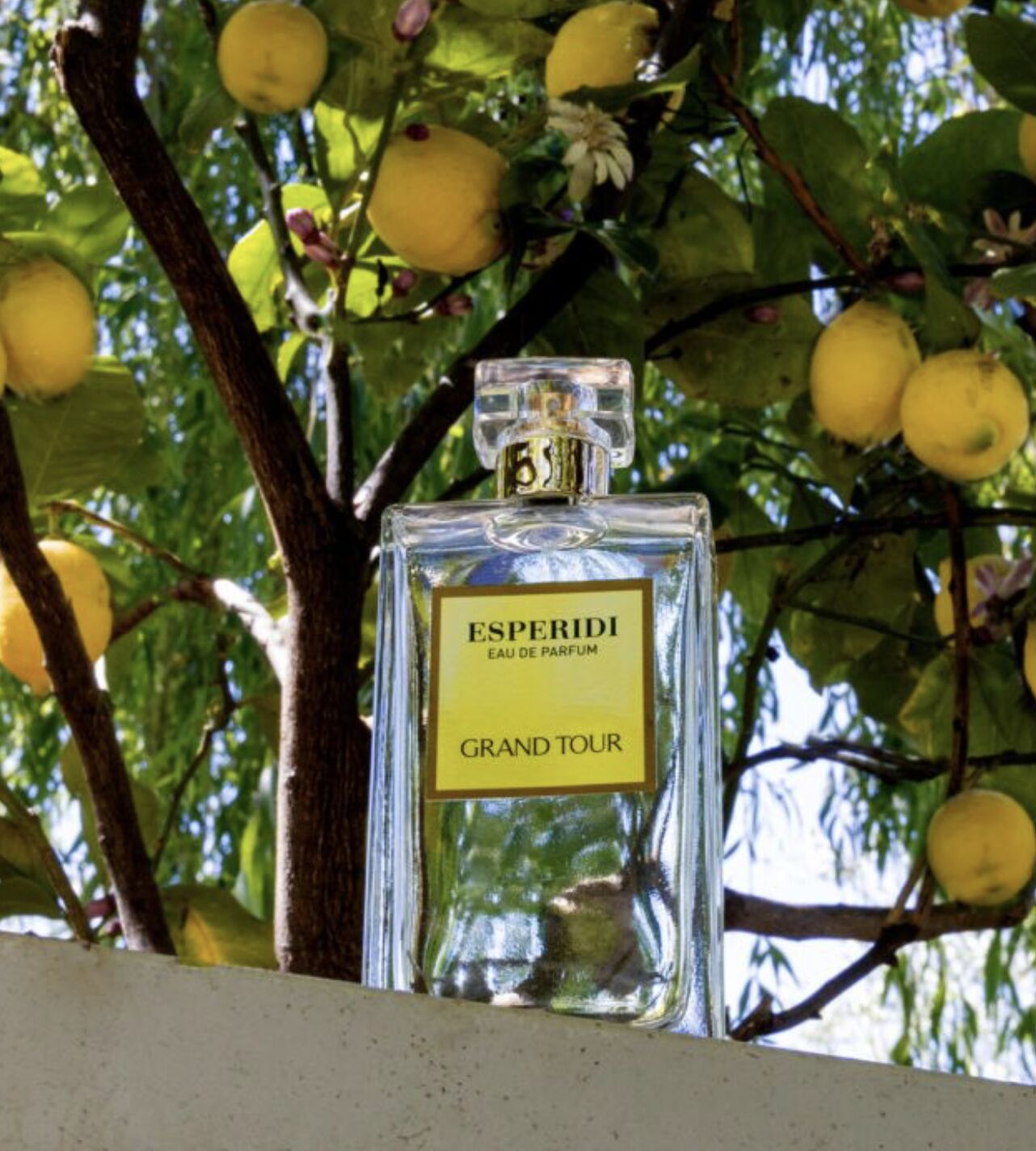 عطر ادکلن اسپریدی گرند تور - Esperidi Grand Tour - بررسی، قیمت و خرید