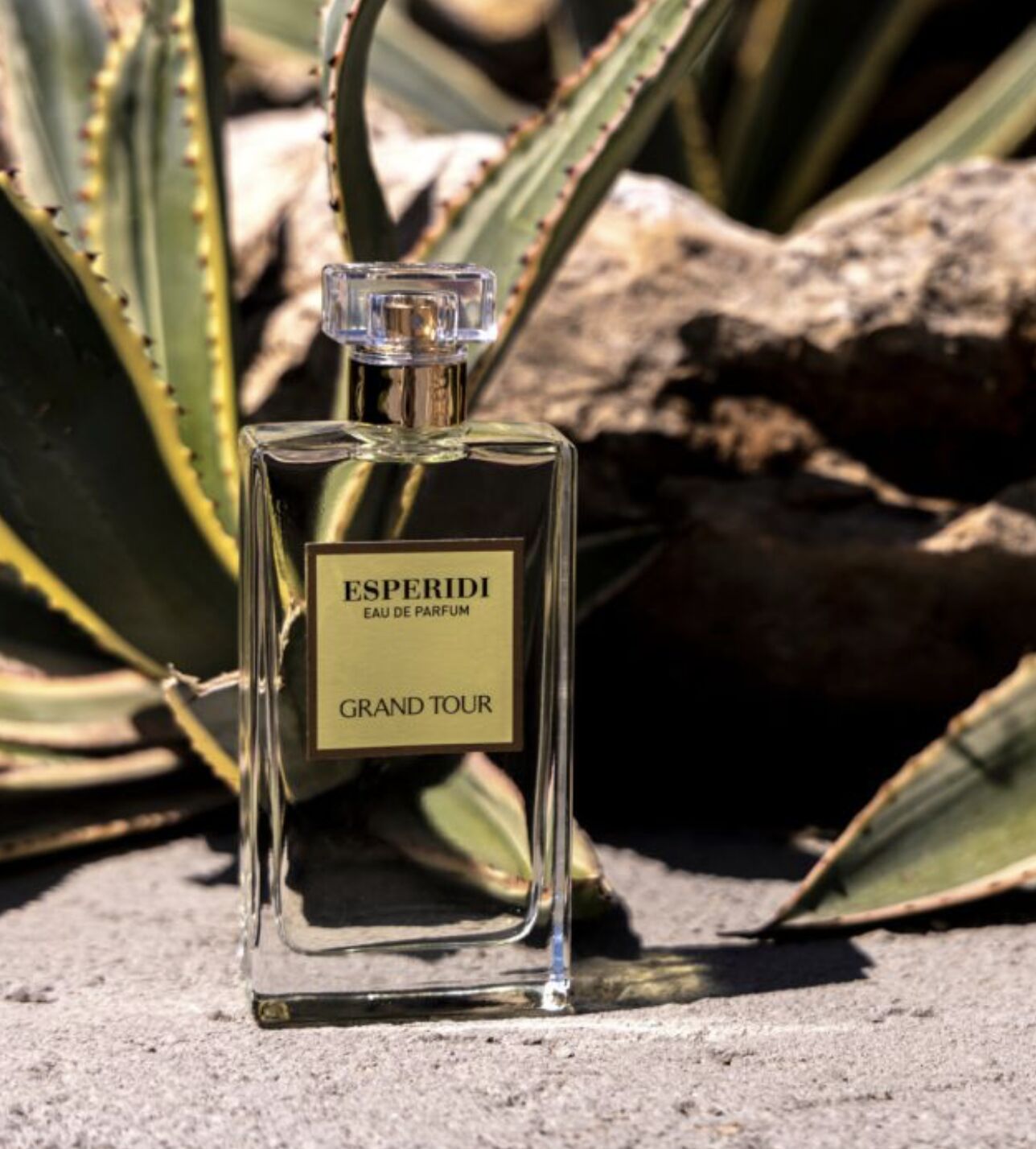 عطر ادکلن اسپریدی گرند تور - Esperidi Grand Tour - بررسی، قیمت و خرید