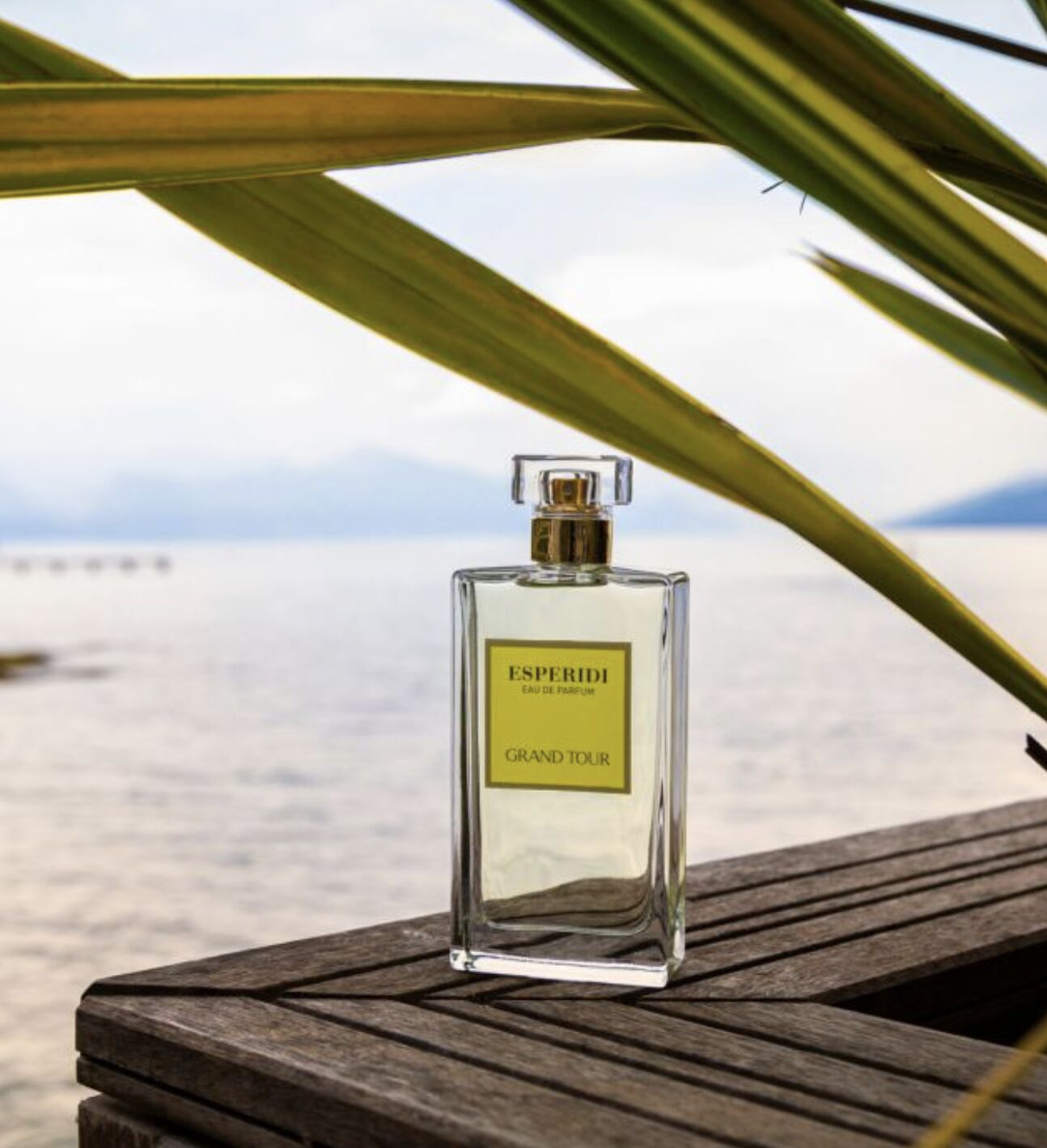 عطر ادکلن اسپریدی گرند تور - Esperidi Grand Tour - بررسی، قیمت و خرید