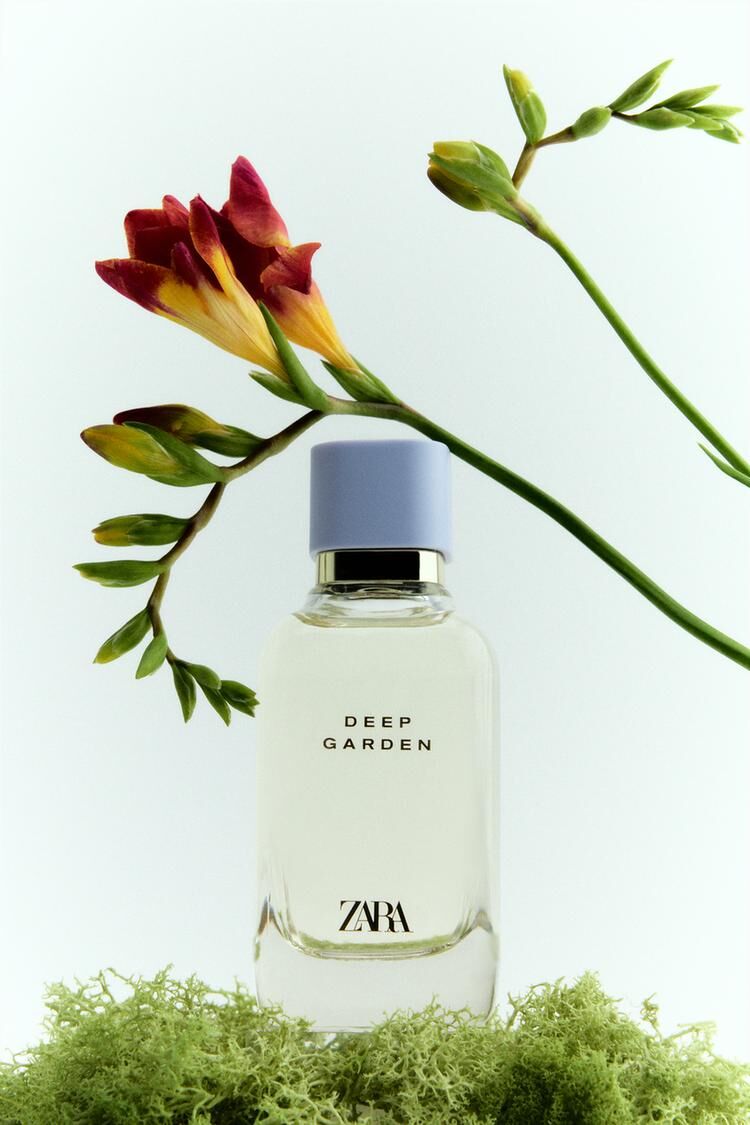 عطر ادکلن دیپ گاردن زارا - Deep Garden Zara - بررسی، قیمت و خرید
