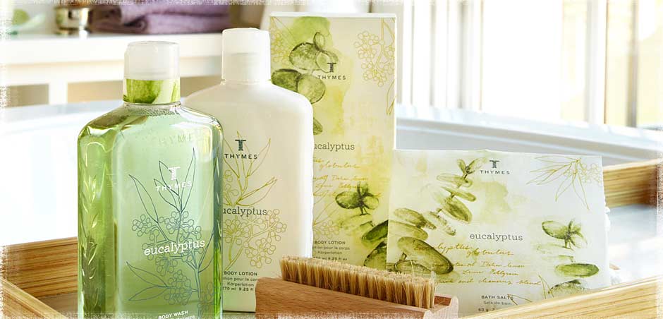 عطر ادکلن یوکالیپتوس تایمز - Eucalyptus Thymes - بررسی، قیمت و خرید