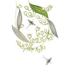 عطر ادکلن لیلی آو د ولی وودز آو ویندزور - Lily of the Valley Woods of Windsor - بررسی، قیمت و خرید