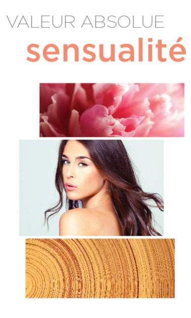 عطر ادکلن سنشوآلیته والو ابسلوت - Sensualite Valeur Absolue - بررسی، قیمت و خرید