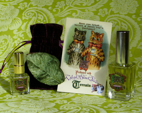 عطر ادکلن ترین ولوت اند سوییت پیس پرفیومری - Terrain Velvet & Sweet Pea’s Purrfumery - بررسی، قیمت و خرید