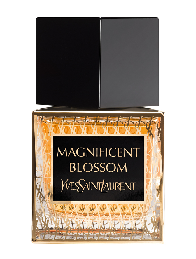 عطر ادکلن مگنیفیسنت بلوسوم ایو سن لوران - Magnificent Blossom Yves Saint Laurent - بررسی، قیمت و خرید
