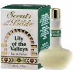 عطر ادکلن لیلی آو د ولیز اینگدی - Lily of the Valleys Ein Gedi - بررسی، قیمت و خرید