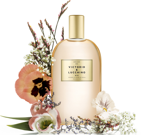 عطر ادکلن شماره ۶ مگنولیا سنشوال ویکتوریو اند لوچینو - Nº 6 Magnolia Sensual Victorio & Lucchino - بررسی، قیمت و خرید