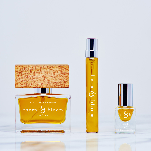 عطر ادکلن برد آو پارادایس ثورن اند بلوم - Bird of Paradise Thorn & Bloom - بررسی، قیمت و خرید