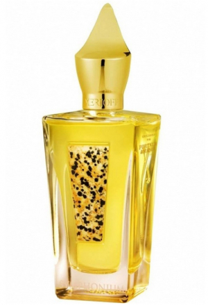 عطر ادکلن سیمفونیوم دو هزار و پانزده زرژوف - Symphonium 2015 Xerjoff - بررسی، قیمت و خرید