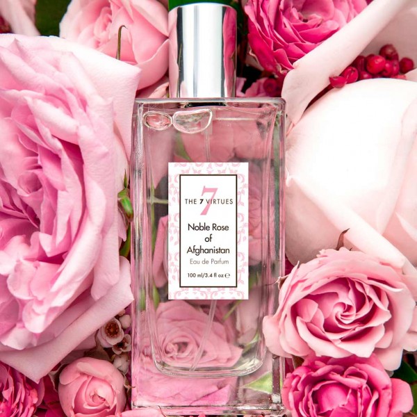 عطر ادکلن نوبل رز آف افغانستان دی سون ویرچوز - Noble Rose of Afghanistan The 7 Virtues - بررسی، قیمت و خرید